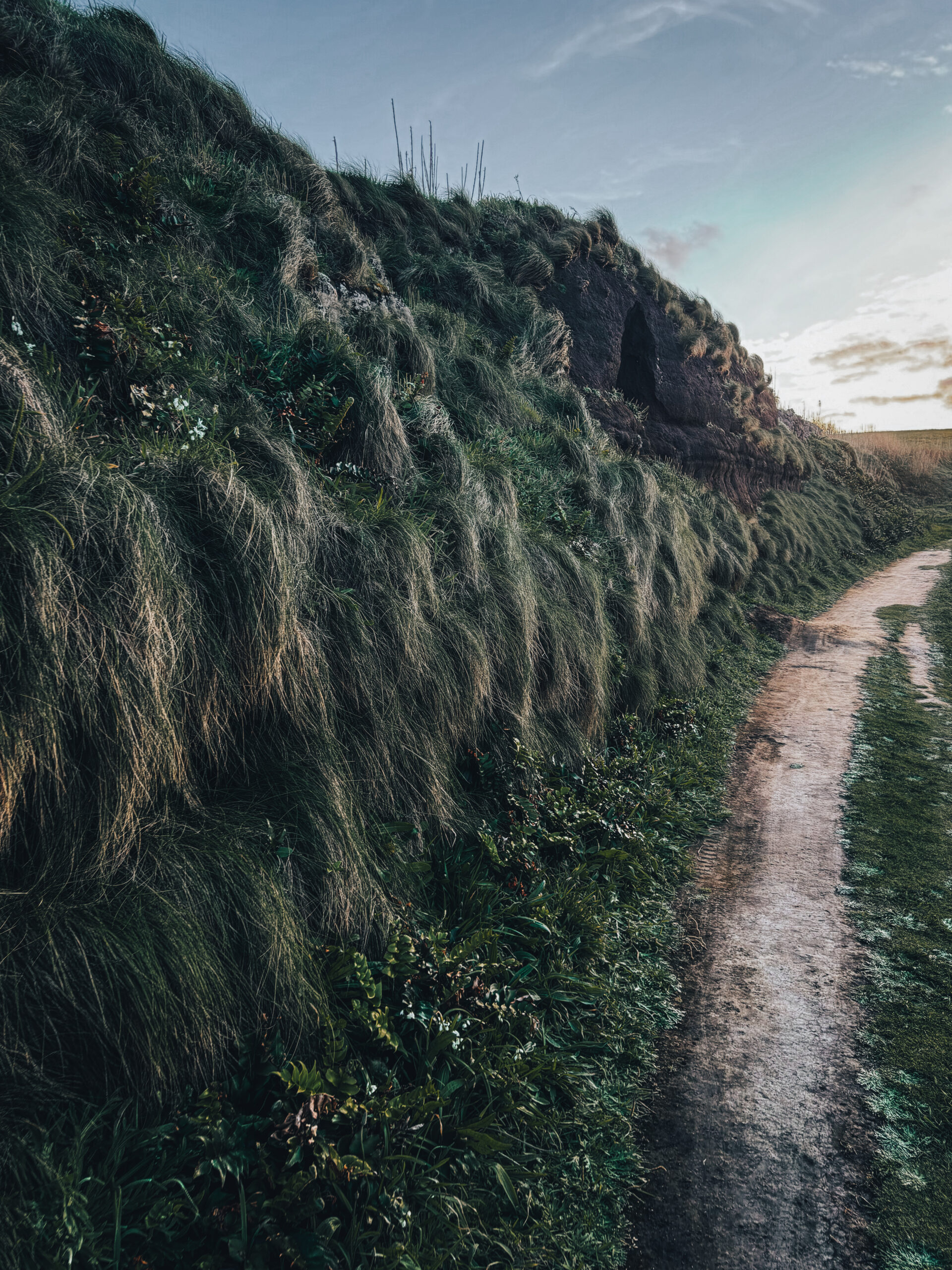 Walk in the Azores