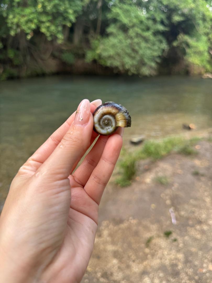 Pictures from July. Sunny river days, book club space, garden pics and more...