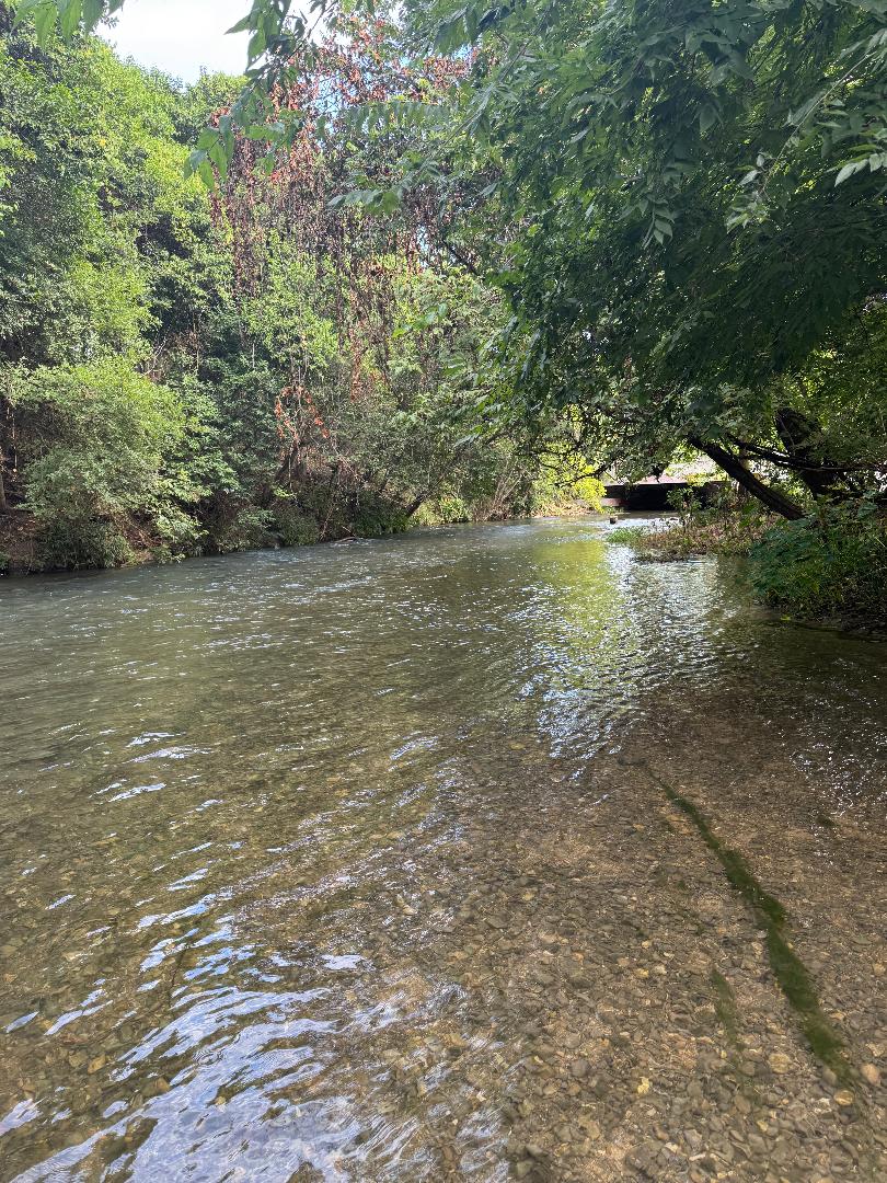 Pictures from July. Sunny river days, book club space, garden pics and more...